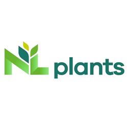 NL Plants, Wernhout openingstijden
