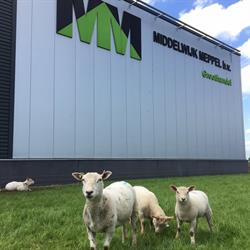 A. Middelwijk & Zn., Meppel openingstijden