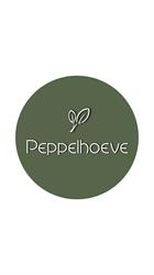 Peppelhoeve - Hovenier en Tuincentrum, Sint-Oedenrode openingstijden