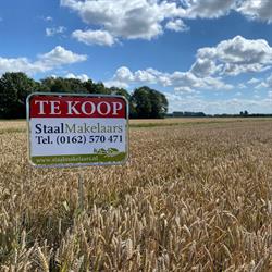 Staal Makelaars, Made openingstijden