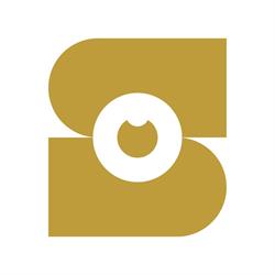 Sturing Optiek Borger, openingstijden