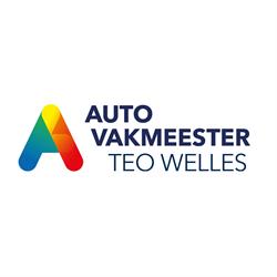 Autovakmeester Teo Welles, Akkrum openingstijden