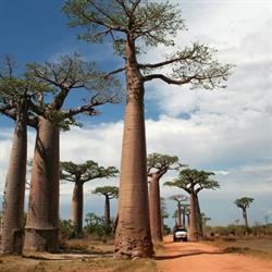 Tsara Travel, Groningen openingstijden