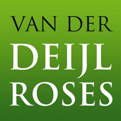 Van der Deijl Roses B.V., Noordwijk openingstijden