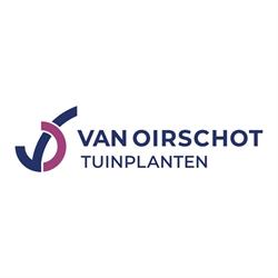 Gebr. Van Oirschot Tuinplanten B.V., Biezenmortel openingstijden