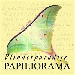 Vlinderparadijs Papiliorama, Havelte openingstijden