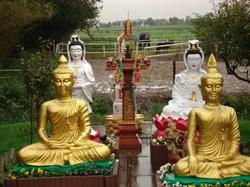 Chang Noi Thaise Massage, Pijnacker openingstijden