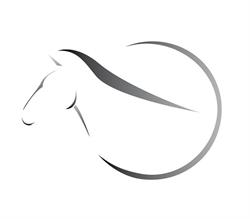 Horseshop International Schenkel Capelle aan den IJssel - openingstijden