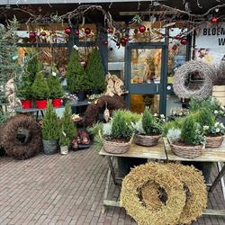 Bloemenatelier Waalre Vof, openingstijden