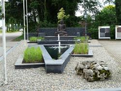 Cox Bloemsierkunst & Hoveniersbedrijf Hans, Panningen openingstijden