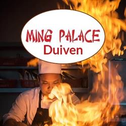 Ming Palace Chinees Japans Restaurant, Duiven openingstijden