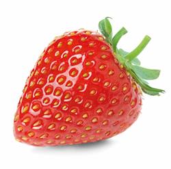 Van Asseldonk aardbeien, Gemert openingstijden