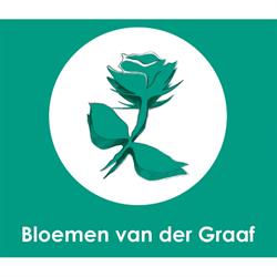 Van der Graaf Bloemen, Lekkerkerk openingstijden