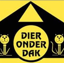 Stichting Dier Onder Dak, Dokkum openingstijden