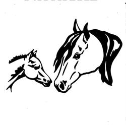 Hoeksche Waard Paardenmelkerij, Strijen openingstijden