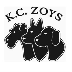 Kc Zoys, Amersfoort openingstijden
