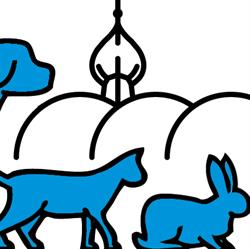 Dierenartsenpraktijk Dwingeloo, openingstijden