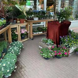 Nispen Bloemenshop, openingstijden