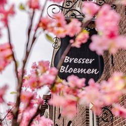 Bresser Bloemen, Gendringen openingstijden