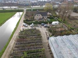 Boomkwekerij Walter van Triet, Waddinxveen openingstijden