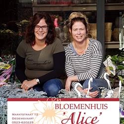 Alice Bloemenhuis, Dedemsvaart openingstijden