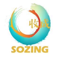 Chinees-Indisch Restaurant & Afhaal Sozing, Zwolle openingstijden