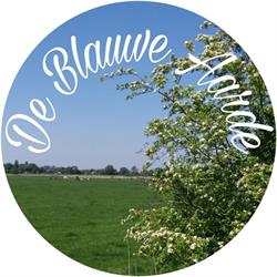 Antiquariaat "de Blauwe Aarde", Oosterwijtwerd openingstijden