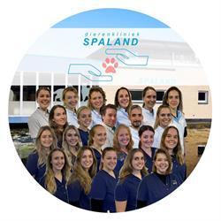 Spaland Dierenkliniek, Schiedam openingstijden