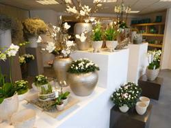 Bloemenhuis Kamp, Oosterhout openingstijden