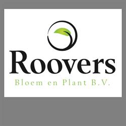 Roovers Bloem en Plant, Zundert openingstijden