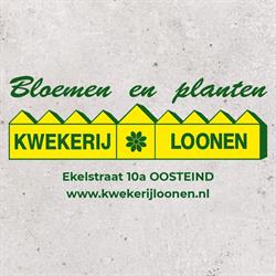 Loonen Kwekerij, Oosteind openingstijden