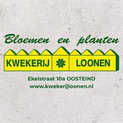 Loonen Kwekerij, Oosteind openingstijden