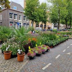 S Van Soeren, Nijkerkerveen openingstijden