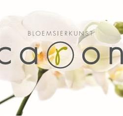 Caron Bloemsierkunst, Krommenie openingstijden