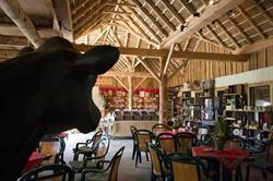 Kaasboerderij de Stelp, Oldeberkoop openingstijden