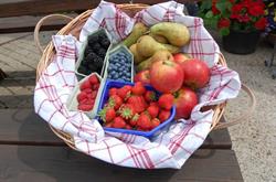 Wisselink Jolink de Fruitschuur r W, Gaanderen openingstijden