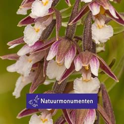 Natuurmonumenten, Callantsoog openingstijden