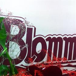 Blommeke Bloembinderij 't, Amerongen openingstijden
