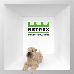 Netrex Internet Solutions, Woerden openingstijden