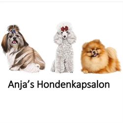 Anja's Honden Kapsalon, Alkmaar openingstijden