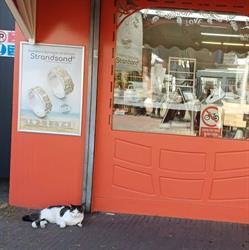 Barrraba, Zandvoort openingstijden