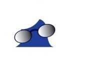Arends Optiek, Best openingstijden