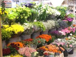 Krijgsheld Bloemenhuis, Bedum openingstijden