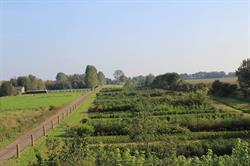 Spoorplant, Musselkanaal openingstijden