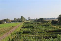 Spoorplant, Musselkanaal openingstijden