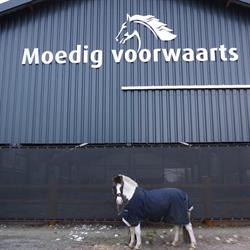 Moedig Voorwaarts Manege, Leiden openingstijden