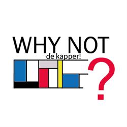 Kapsalon Why Not? De Kapper!, Leiden openingstijden