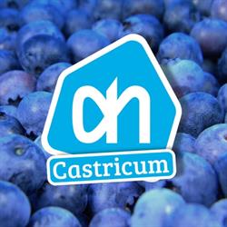 Albert Heijn Castricum, openingstijden