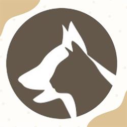 Stichting Provinciaal Drents Dierentehuis, Beilen openingstijden