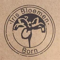 Iris Bloemenhuis, Born openingstijden